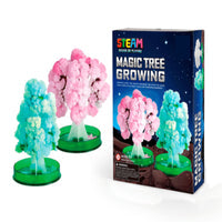 DIY Planting Tree Science Experiment Kit